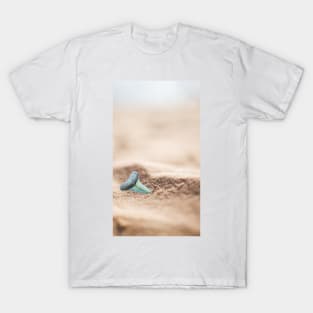 Shark Tooth in the Sand T-Shirt